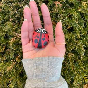 Ladybug Handmade Painted Rock